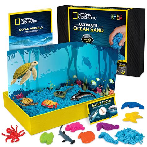 The Benefits of Playing with Magid Sand Toys: Developmental and Educational Benefits